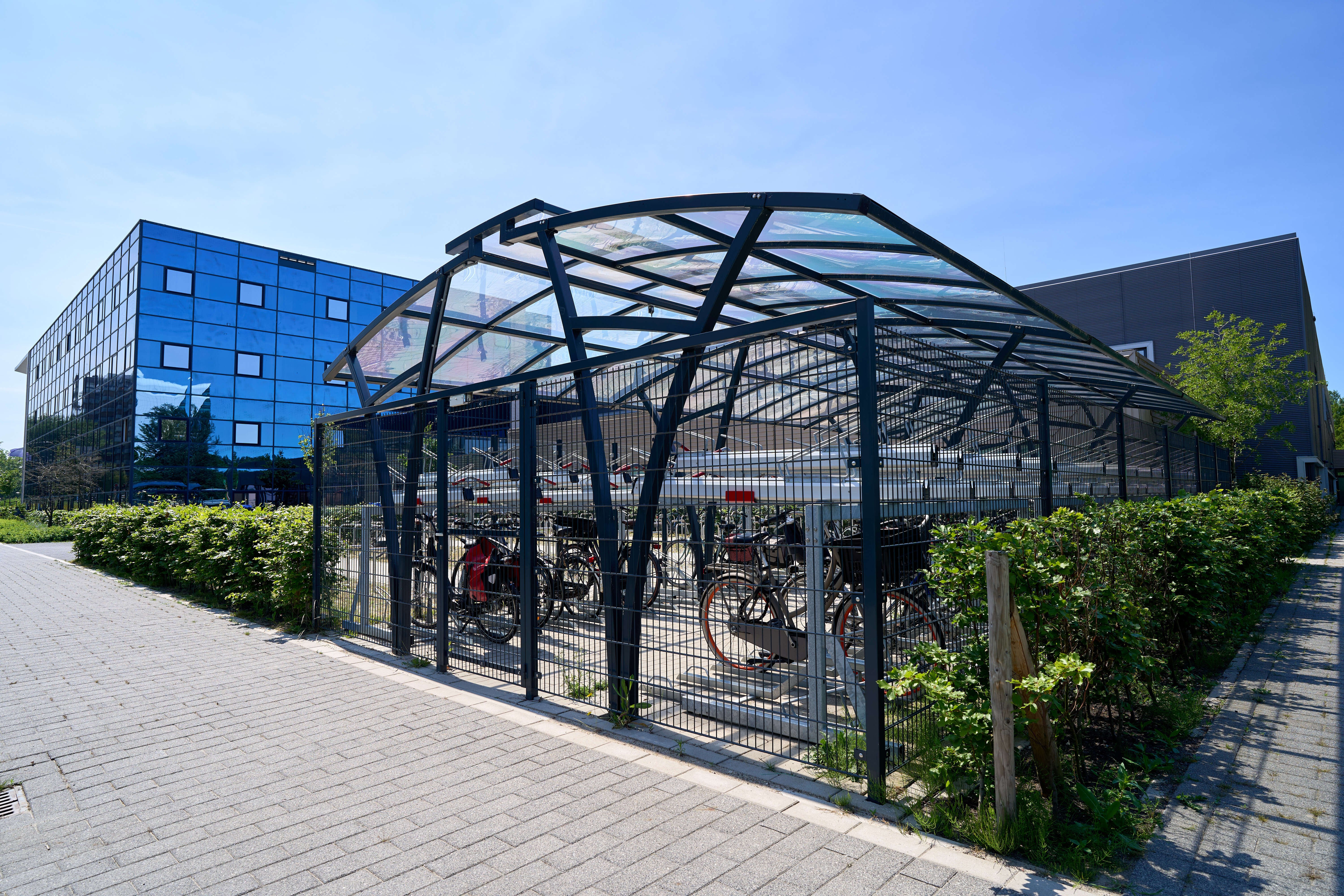 20210609_10_FALCO_72